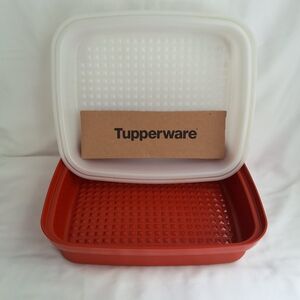Tuppeware Season Serve Container